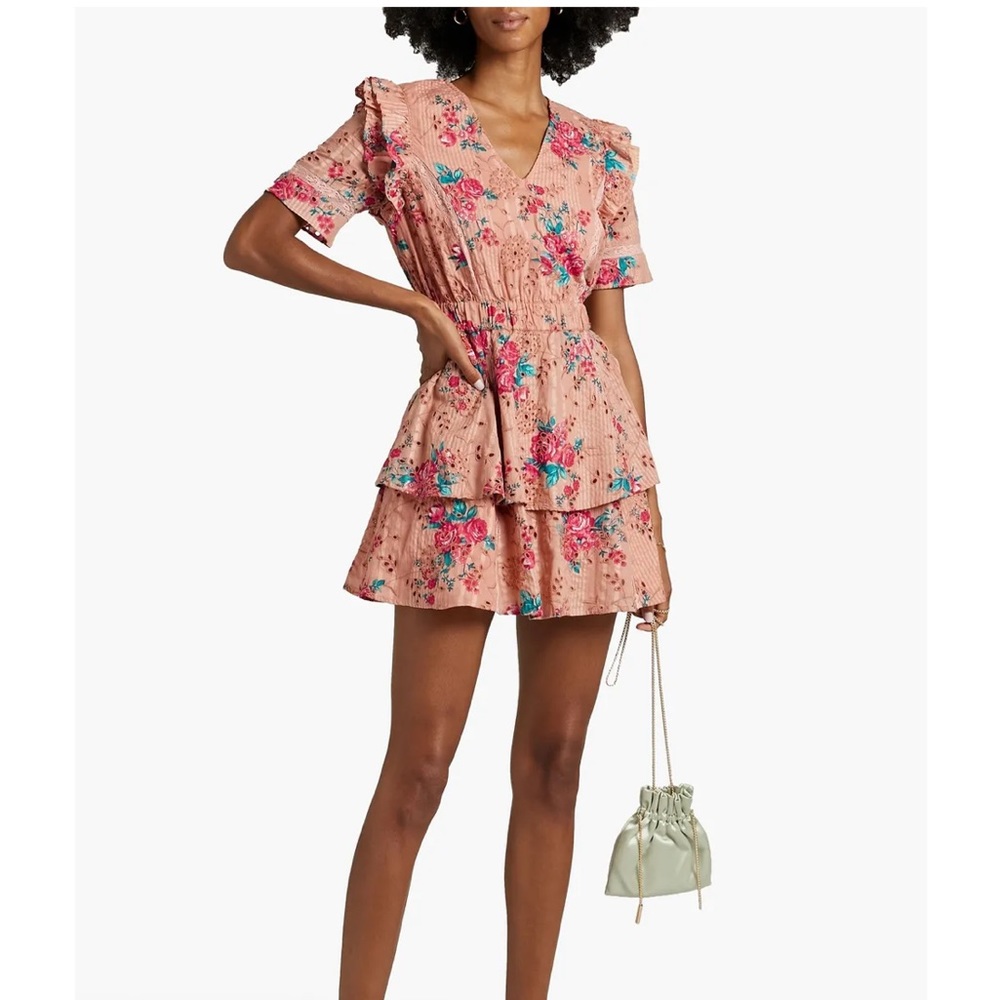 Beautiful Walter Baker Ivette Dress in Botanical Eyelet - Picture 2 of 15